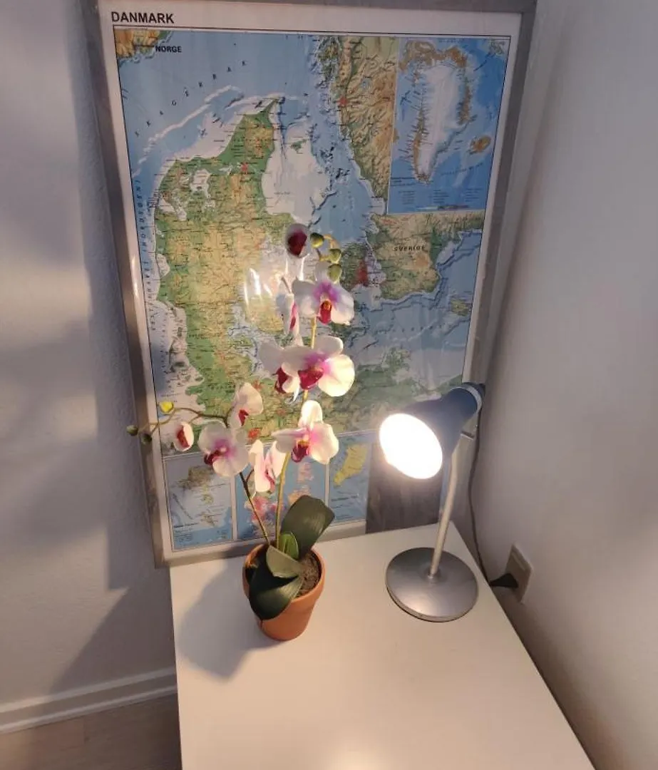 Capital City Of Lego, Prime Location! Room 01 Billund 0*,  Denmark