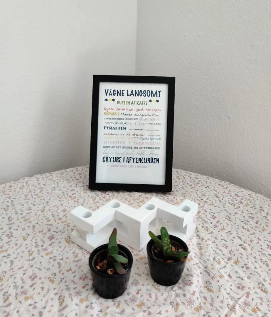 Capital City Of Lego, Prime Location! Room 01 Billund Apartment